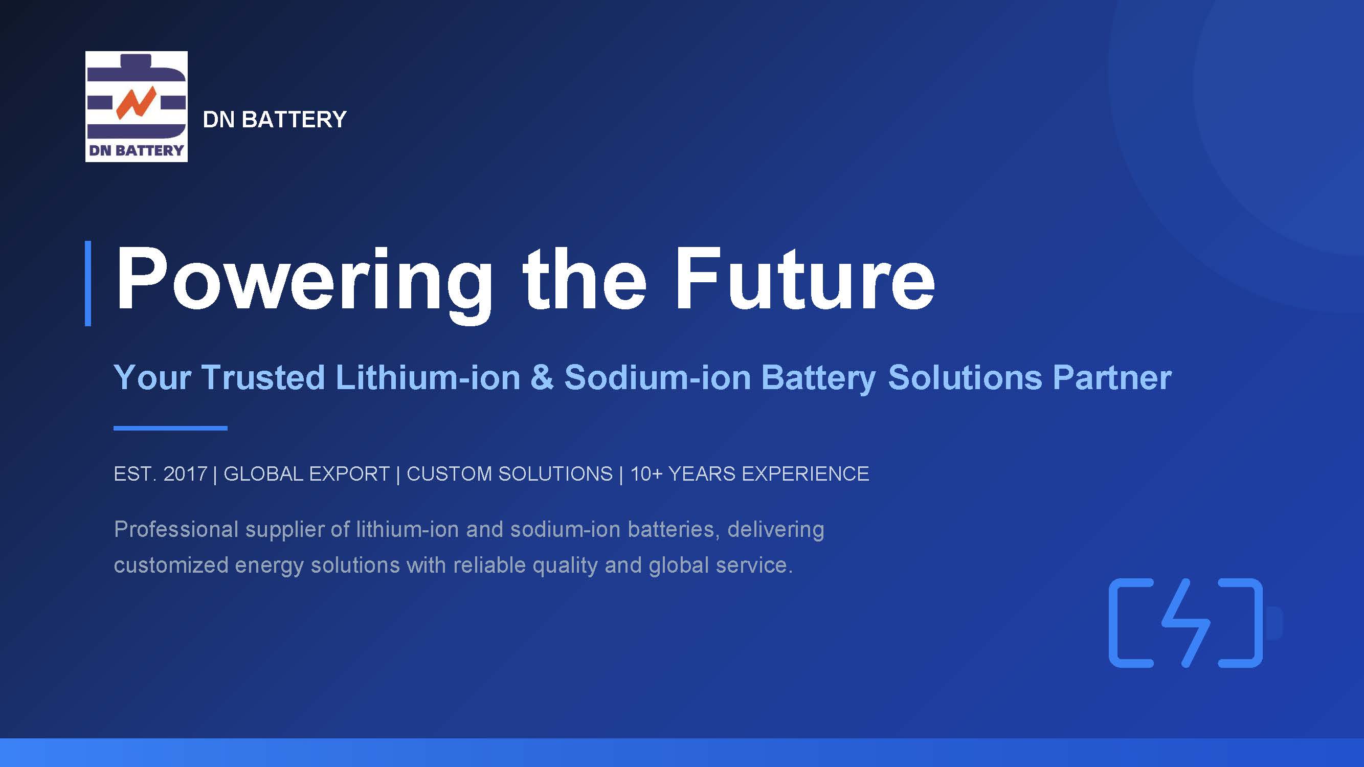 dnbattery.com_页面_1